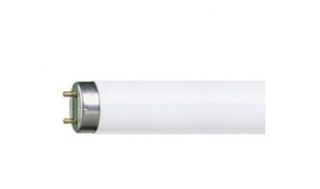 <a href='product.php?qid=107709' style='color:white;text-decoration: none;'>ขายหลอดไฟ Philips หลอด LED หลอดฆ่าเชื้อ หลอดฮาโลเจน หลอดฆ่าเชื้อ หลอดฟลูออเรสเซนต์ : <span class='text-info'><strong>Read More</strong><span></a>