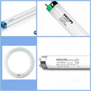 <a href='product.php?qid=107709' style='color:white;text-decoration: none;'>ขายหลอดไฟ Philips หลอด LED หลอดฆ่าเชื้อ หลอดฮาโลเจน หลอดฆ่าเชื้อ หลอดฟลูออเรสเซนต์ : <span class='text-info'><strong>Read More</strong><span></a>