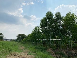 ขายด่วนที่ดินใกล้รถไฟฟ้าสายสีชมพู 1-2-48 ไร่ ใกล้สถานีนพรัตน์เพียง 280 ม.