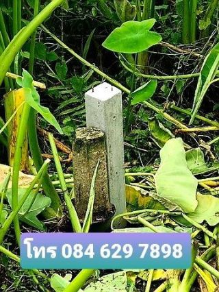 ขายที่ดิน 10 - 2- 36 ตรว โยธาธิการ  สายวัดโยธินประดิษฐ์ สำโร พระประแดง สมุทรปราการ  