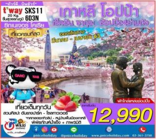 ทัวร์เกาหลี โอปป้า 6D3N เริ่มเพียง 12,990 บ.
