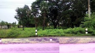 ขายที่ดินติดแม่น้ำท่าจีน 2 ไร่ อ เดิมบางนางบวช สุพรรณบุรี