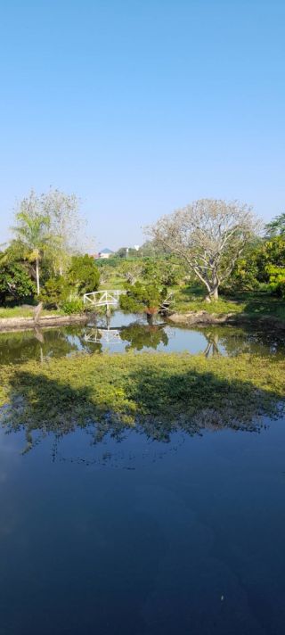 ขายบ้านและสวนจังหวัดเชียงใหม่