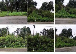 ขายที่ดินติดแม่น้ำท่าจีน 2 ไร่ อ เดิมบางนางบวช สุพรรณบุรี
