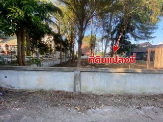 ขายที่ดิน 161 ตร.วา ในหมู่บ้านโชคดีวิลเลจ หลังห้างแหลมทอง ตัวเมืองระยอง