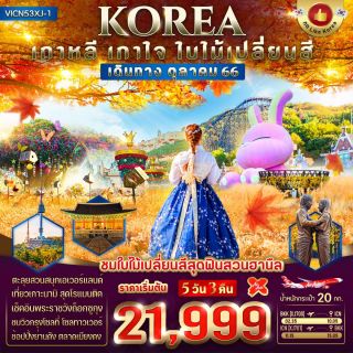 โปรแกรมทัวร์เกาหลี เกาใจ ใบไม้เปลี่ยนสี