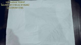 <a href='product.php?qid=24935' style='color:white;text-decoration: none;'>ผ้าเช็ดเครื่องขาว ผ้าเย็บวน : <span class='text-info'><strong>Read More</strong><span></a>
