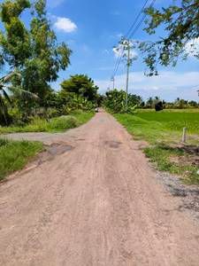 ขายที่ดินเปล่าในถนนร่วมพัฒนา เขตหนองจอก กรุงเทพมหานคร