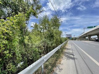 ขายที่ดินราชพฤกษ์ ต.บางเดื่อ เมืองปทุมธานี ที่ดินติดถนนใหญ่ราชพฤกษ์ ขายต่ำกว่าราคาตลาด ถูกที่สุดในถนนราชพฤกษ์, รีบจับจองเป็นเจ้าของด่วน
