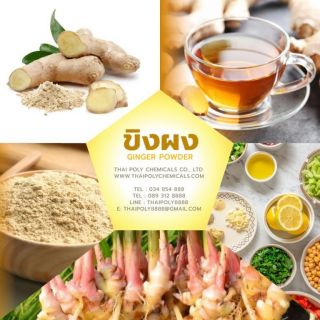 ผงขิง, Powdered Ginger, ข้อมูลเพิ่มเติม โทร 034854888 โทร 0893128888 ไลน์ไอดี thaipoly8888