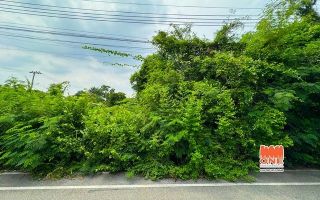 ขายที่ดินต่ำกว่าประเมิน! บางกะเจ้า เนื้อที่ 108 ตรว. ซอยเพชรหึงษ์ 28