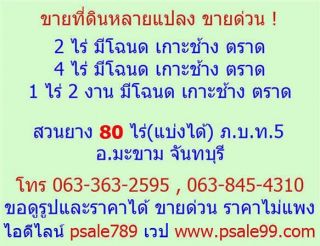 ขายที่ดิน ที่เปล่า สวนยาง สวนทุเรียน สวนผลไม้ ในจันทบุรีและตราด ภาคตะวันออก ฯลฯ