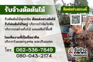 บริการตัดต้นไม้ในกรุงเทพฯและปริมณฑล ปลอดภัย มั่นใจ งานคุณภาพ โดยทีมมืออาชีพ