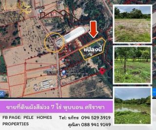 ขายที่ดิน 4 ไร่ ติด ม. บางบัวทอง 4 เหมาะทำ หมู่บ้าน คลังสินค้า อาคารพาณิชย์ ตลาด โรงงาน 