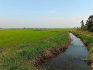 ขายโรงเรียน จังหวัด สมุทรปราการ ใกล้รถไฟฟ้า มีใบอนุญาติ พร้อมดำเนินการต่อ โทร 080-7715551 