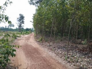 ขายที่ดินอำเภอเมืองสระแก้ว โฉนดครุฑแดง โทร0819103745 ราคาถูก 