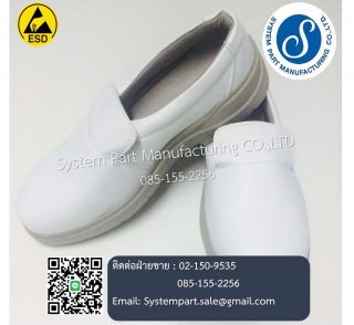 EDS Safety Shoes