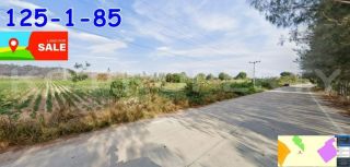 ขายที่ดิน 125ไร่ ราคาถูก หนองอิรุณ บ้านบึง ใกล้331 โรงโม่หิน นิคมเอเซียคลีน
