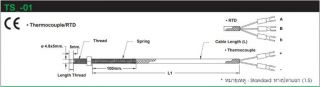 TS_-01 : Temperature Sensor