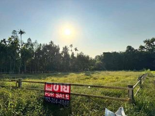 ขาย ที่ดินเปล่าสี่เหลี่ยมผืนผ้า แปลงมุม โฉนดครุฑแดง ต.บางบุตร บ้านค่าย-ระยอง 