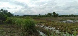 ขายที่ดิน 8-2-95ไร่ 4.5ล้านบาท บ้านป่าแดง ถ.บ้านดงป่างิ้ว ต.แม่ทะลบ ไชยปราการ เชียงใหม่