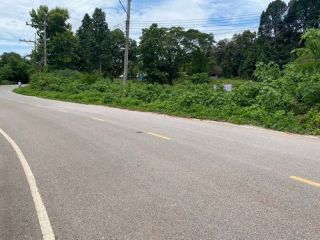 ขายที่ดิน 3-1-59 ไร่ เชียงราย – ทำเลดี ติดถนนลาดยาง เหมาะสร้างบ้าน & เกษตรกรรม
