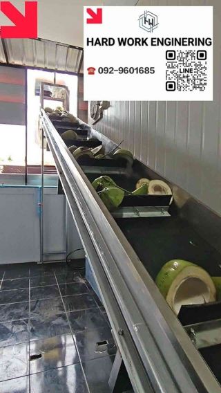 สายพานทิ้งเปลือมะพร้าว  ล้งมะพร้าว