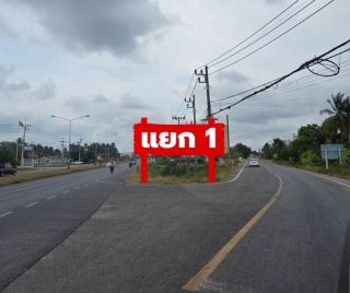 โอกาสทองของนักลงทุนและคนอยากมีบ้าน! ขายที่ดิน 84.2 ตร.ว. อ.สิงหนคร จ.สงขลา