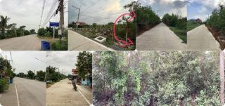 ขายที่ดิน คลองสาม 1 ไร่ คลองหลวง จ.ปทุมธานี