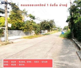 <a href='product.php?qid=492601' style='color:white;text-decoration: none;'>ขายถูกที่ดินเท่าราคาประเมิน ถมสูงกว่าถนน 50 ซม. 98 วา  ถนนกว้าง 10 ม. ซ.เอกรัตน์1 ใกล้ตลาดสัมมากรและ ม.รังสิต  อ. เมือง ต. หลักหก จ.ปทุมธานี : <span class='text-info'><strong>Read More</strong><span></a>