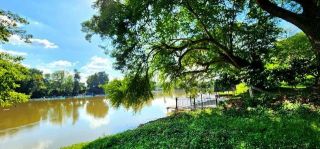 ขายที่ดินติดแม่น้ำแควน้อยเมืองกาญจนบุรี 4 ไร่ บรรยากาศ วิวดีมาก น้ำใส ลมเย็น เหมาะสร้างบ้านพักตากอากาศ ทำการเกษตร ทำรีสอร์ท
