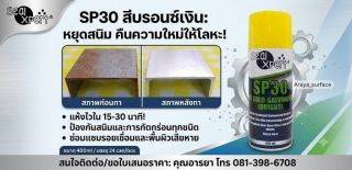 Sealxper sp30 สังกะสีเหลวเคลือบป้องกันสนิม สีบรอนซ์เงิน 