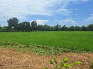 ขายที่ดิน 14-3-99 ไร่ ติดถนนปทุมธานี-บางปะหัน อ.บางไทร จ.พระนครศรีอยุธยา