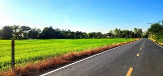 ขายที่ดินองครักษ์ นครนายก ใกล้อบตองครักษ์ ทำเลดี ติดถนนลาดยาง เหมาะซื้อไว้ปลูกบ้าน