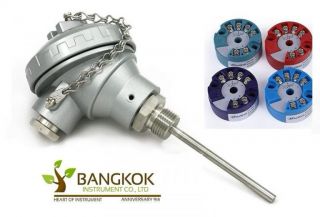 RTD Pt100 (3-Wire) Class B with Temp. Head Transmitter