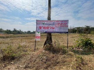 ที่ดิน 3 งาน 78.0 ตรว.ต.ขามทะเลสอ อ.ขามทะเลสอ จ.นครราชสีมา