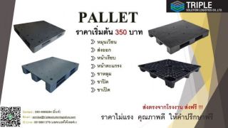 พาเลท