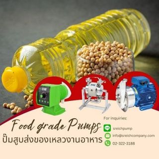 เชี่ยวชาญทุกกระบวนการสูบส่งเครื่องดื่ม ปั๊มยุโรปสำหรับเบียร์ ไวน์ และน้ำมันพืช