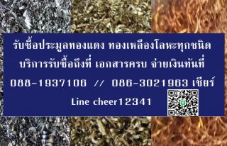<a href='product.php?qid=51647' style='color:white;text-decoration: none;'>รับซื้อทองแดงราคาสูง บริการซื้อถึงที่ : <span class='text-info'><strong>Read More</strong><span></a>