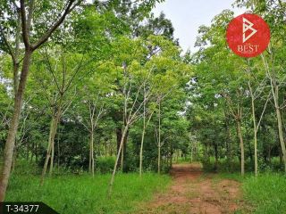 ขายคอนโด ทองประชาคอนโดทาวน์3 ใกล้พาราไดซ์ ใกล้รถไฟฟ้าสายสีเหลือง