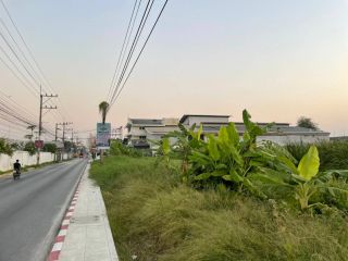 ที่ดิน ติดถนนเมนทางเข้า คลอง4 ธัญบุรี เขต บึงยี่โถ  