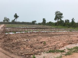   ขายที่ดิน ถนน เพชรเกษม ประจวบคีรีขันธ์ Real Estate Land for sale Prachuap Khiri Khan Province 51 rai 550000 per rai
