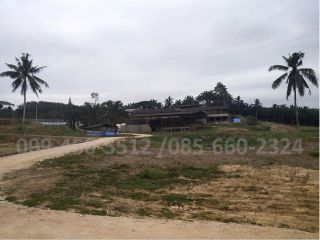 ขายโรงงานน้ำยางข้น ขนาด 26-2-2ไร่ อ. ปะทิว จ. ชุมพร